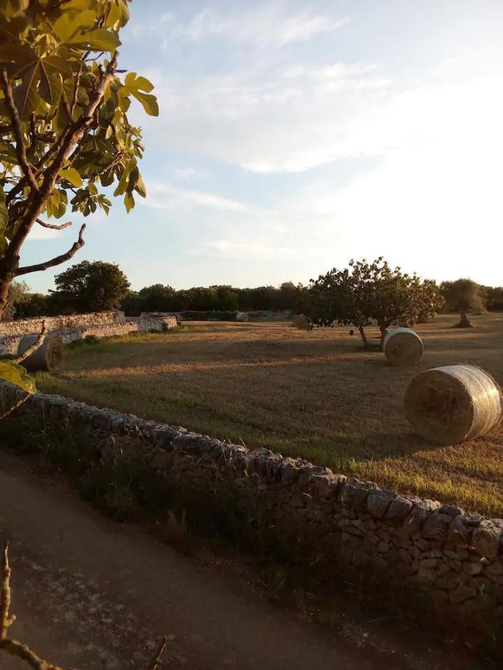 Гостьовий будинок Masseria Fra Diavolo Кастеллана-Гротте Екстер'єр фото
